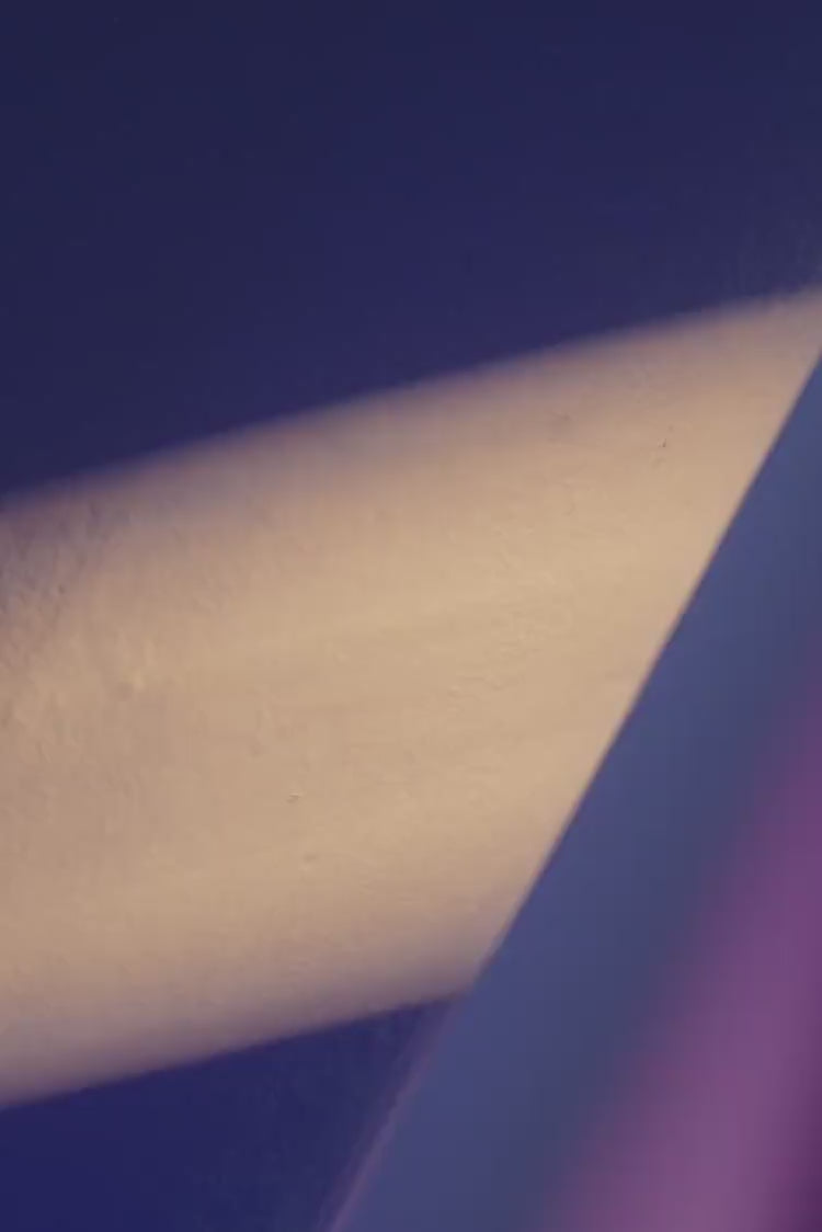 Total Look Casa Batlló 4088